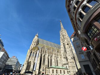 IMG_20250510_161558.jpg