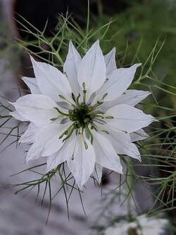 IMG20250513205253~2.jpg