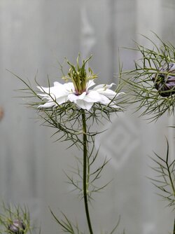 IMG20250513204310~2.jpg