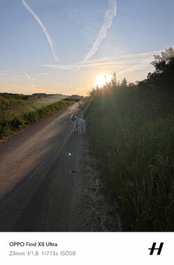 IMG20250512201241.jpg