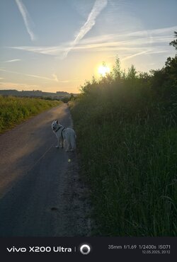 IMG_20250512_201242.jpg