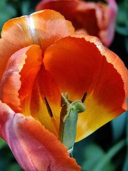 IMG20250514181422~2.jpg