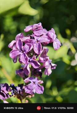 IMG_20250514_174654.jpg