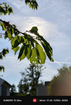 IMG_20250514_175846.jpg