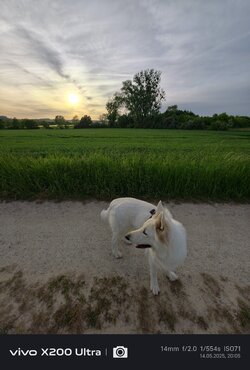 IMG_20250514_200518.jpg