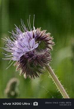 IMG_20250514_201046.jpg