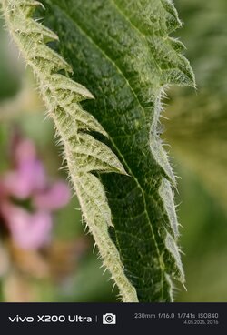 IMG_20250514_201604.jpg