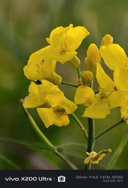 IMG_20250514_201746.jpg