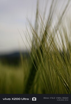 IMG_20250514_202224.jpg