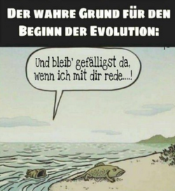 1747249227860.png