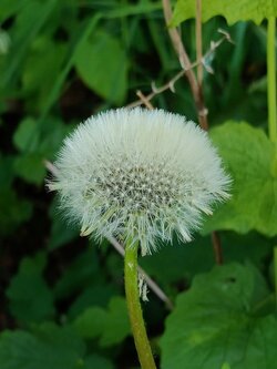 IMG20250514150414~2.jpg