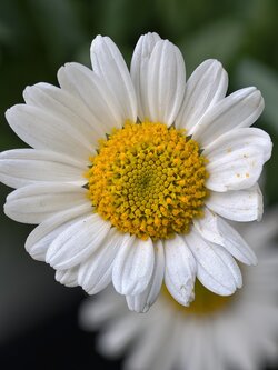 IMG_20250513_141030.jpg