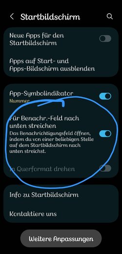 Screenshot_20250514_235158_One UI Home.jpg