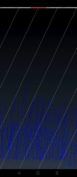 45149.jpg