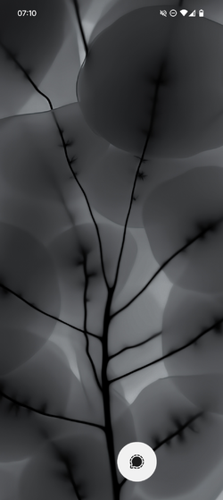 1000032952.png