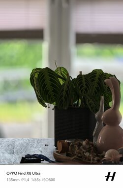 IMG20250514191813.jpg