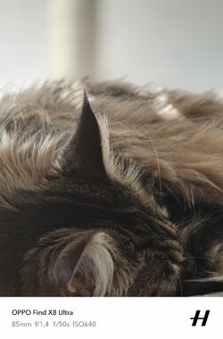 IMG20250515095204.jpg