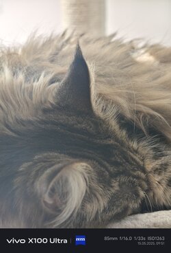 IMG_20250515_095134.jpg