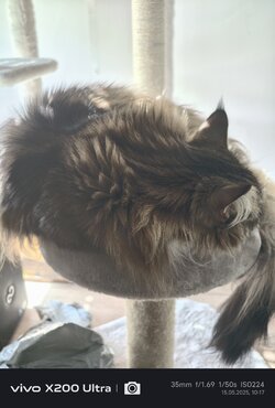 IMG_20250515_101736.jpg