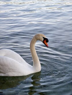 IMG_20250514_072423.jpg