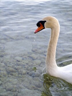 IMG_20250514_072507.jpg