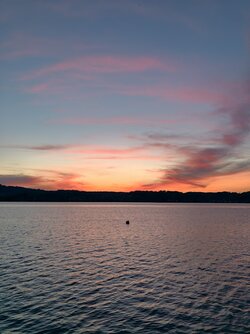 IMG_20250514_205339.jpg