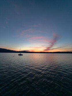 IMG_20250514_205350.jpg