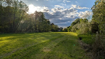 PXL_20250504_165829861.RAW-01.COVER.jpg