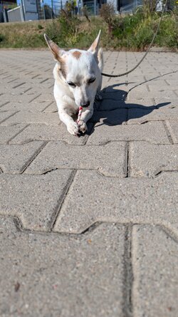 PXL_20250509_143324095.RAW-01.COVER.jpg