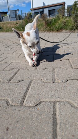 PXL_20250509_143326883.RAW-01.COVER.jpg
