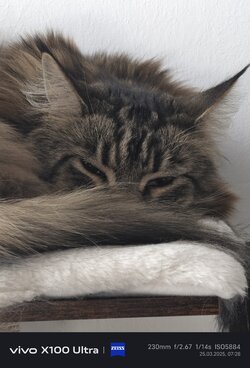 IMG_20250325_072819.jpg