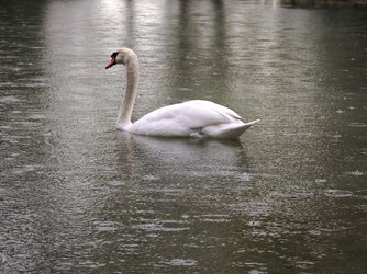 IMG_20250424_144742.jpg