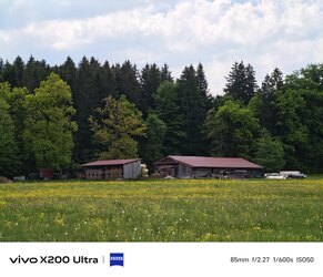 IMG_20250515_172218.jpg