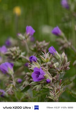 IMG_20250515_172238.jpg