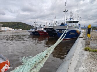 IMG_20250515_171117.jpg