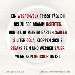 Quotes-Creator-com.ist_.quotescreator-1747219786141.png