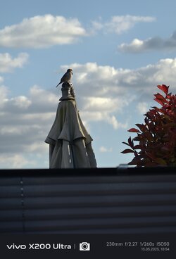 IMG_20250515_185452.jpg