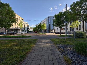 IMG_20250515_185818.jpg
