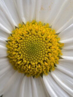 IMG_20250515_164622.jpg
