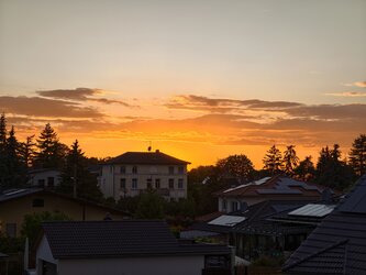 IMG_20250515_204917.jpg