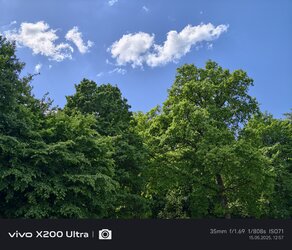 1000003322.jpg
