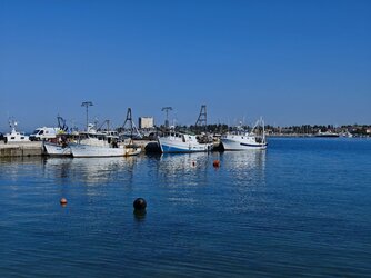 IMG_20250501_095214.jpg