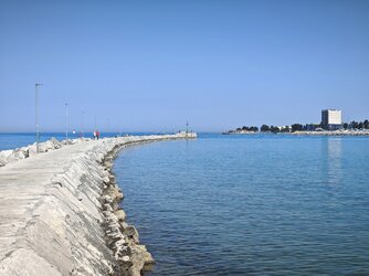 IMG_20250501_101601.jpg