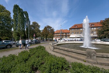 14mm 50 MP crop_s.jpg