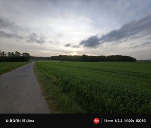 IMG_20250515_063655.jpg