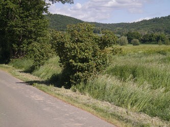 V Tele (s)RAW 27MP.jpg