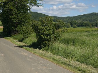 O Tele RAWmax  27MP.jpg