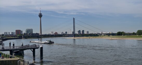 IMG_20250514_111830.jpg