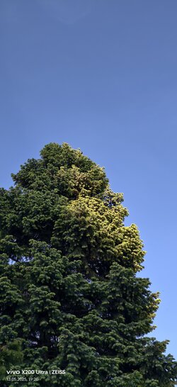 IMG_20250513_192031.jpg