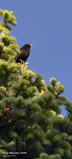 IMG_20250513_192125.jpg